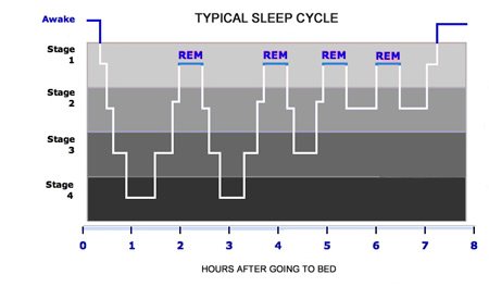 Sleep cycle graphics